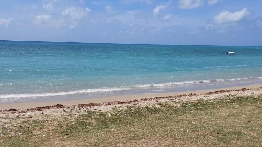 بورت ماثورين Ohana Guest House المظهر الخارجي الصورة